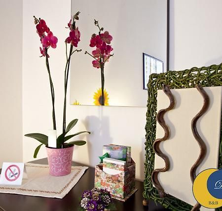Dolce Lecce B&B Kamer foto